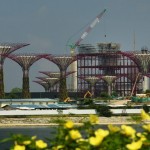 singapores-solar-supertrees-6