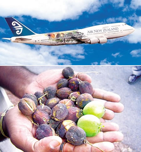 partial_fuel_of_fruit_oil.jpg
