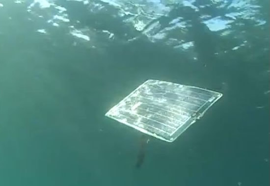 mola-1