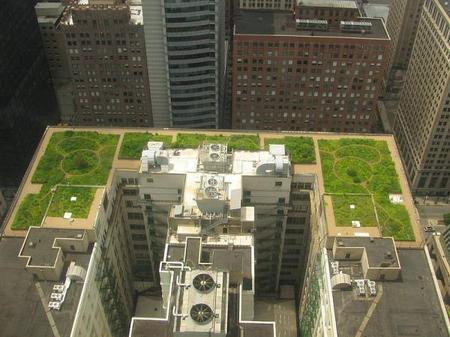 Green_Roof.jpg