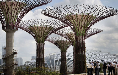 Singapore sets up giant metal and concrete “trees” with rainwater