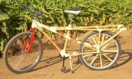bike1.jpg