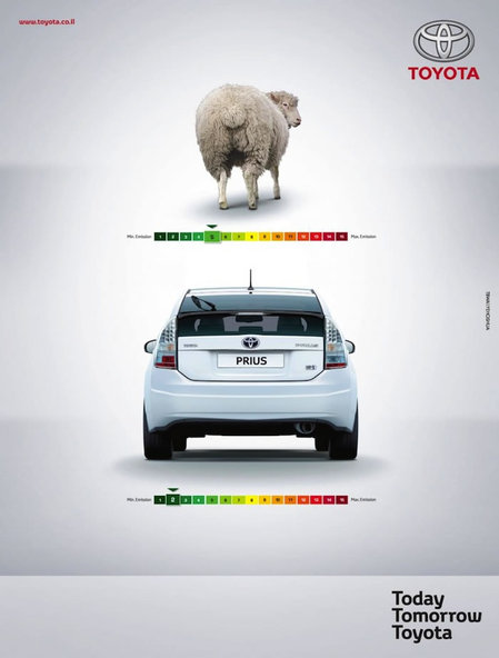 farting-sheep-pollute-the-environment-1.jpg