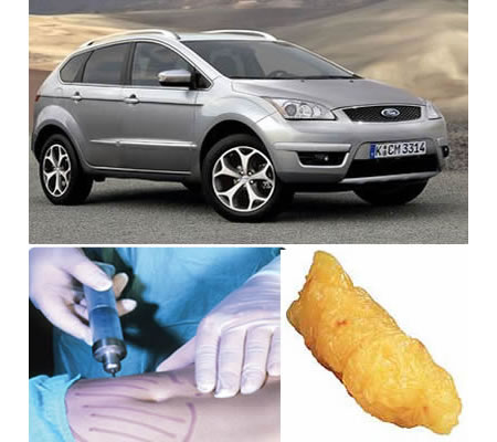 ford_on_fat.jpg