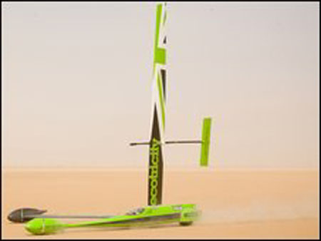 greenbird.jpg
