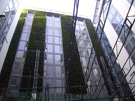mint-hotel-green-wall2.jpg