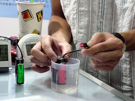 organic_chlorophyll_battery_1.jpg