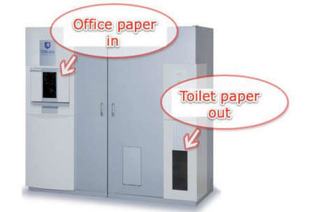 toilet_paper_rolls.jpg