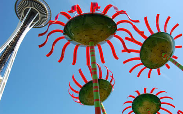 sonic-bloom-1