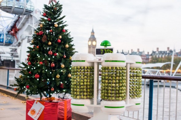 brussels-sprouts-christmas-tree