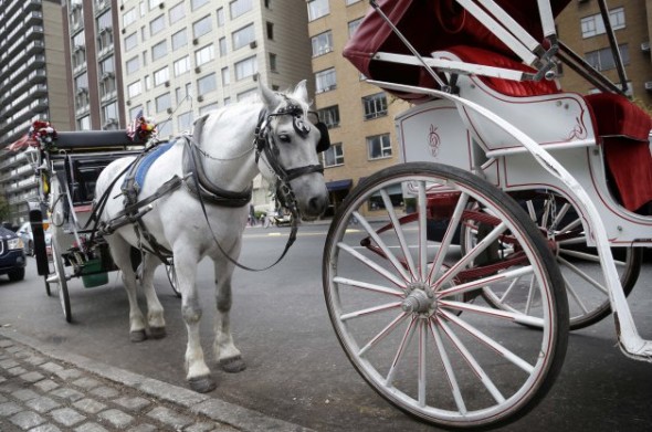 horse-carriages