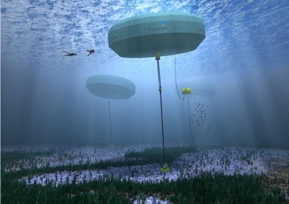 perths-carnegie-wave-energy-project-1