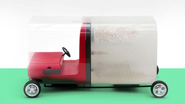 Digestive-Car 2